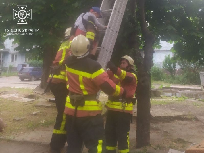 Запорожские спасатели сняли с дерева мальчика