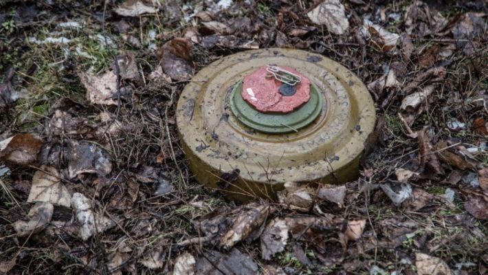 В Мелитопольском районе оккупанты обнаружили мины, привязанные к траве (фото)