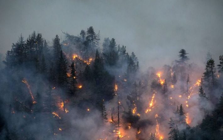 Найбільша лісова пожежа в історії канадської провінції: знищено сотні будинків