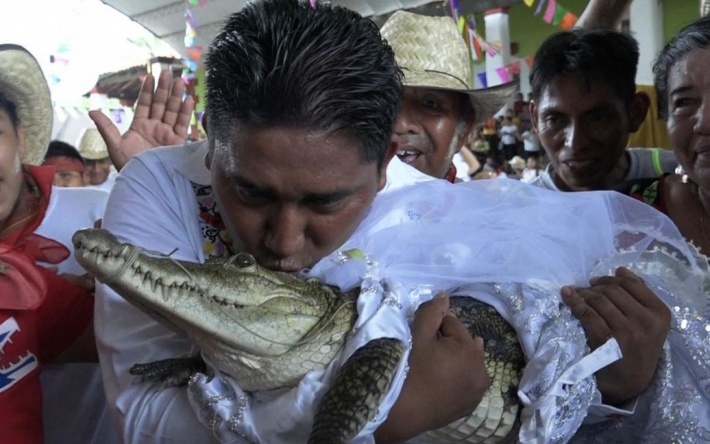 Мер міста одружився з крокодилицею: шлюбний союз молодята закріпили поцілунком