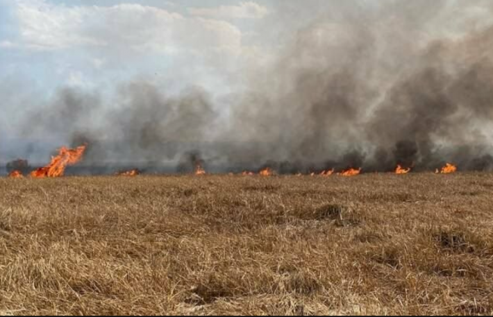 Вследствие вражеских обстрелов в Запорожской области горят поля с урожаем