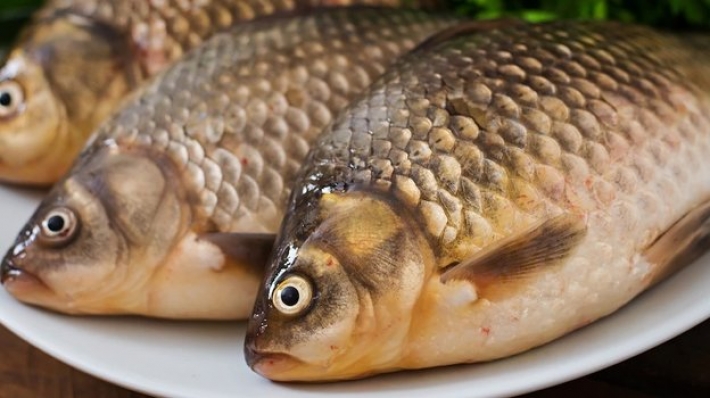 В Запорожье появилась угроза заражения ботулизмом из-за некачественной рыбы