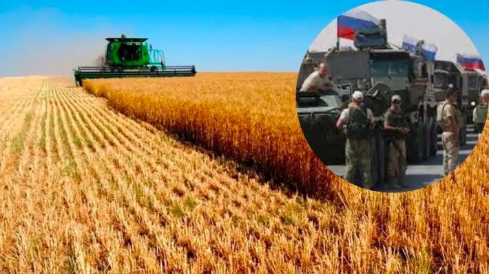 В Мелитопольском районе фермеры стали получать угрозы от оккупантов (фото, видео)