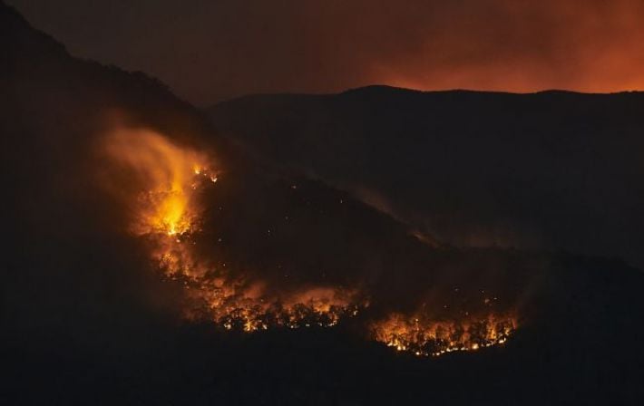 Лесной пожар на Гавайях нанес миллиардный ущерб, погибли по меньшей мере 89 человек