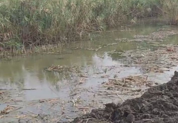 Под Мелитополем оккупанты создают водное препятствие для ВСУ из реки Молочной (видео)