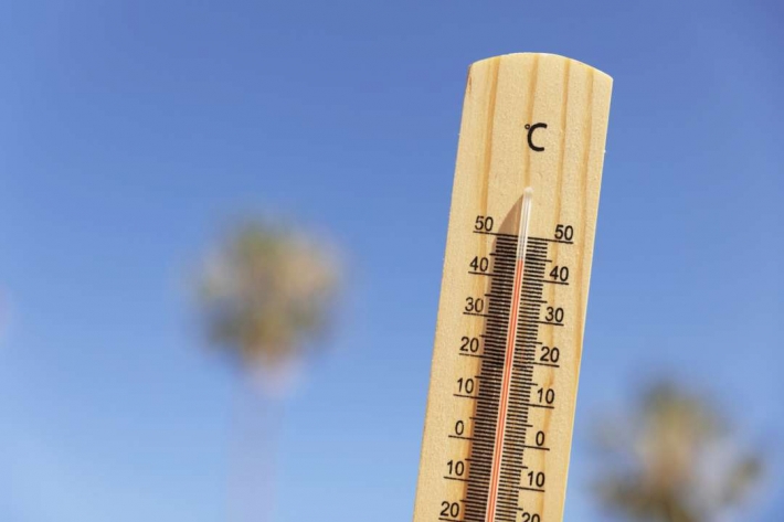 В Запорожье на этих выходных прогнозируют аномальную жару (фото)