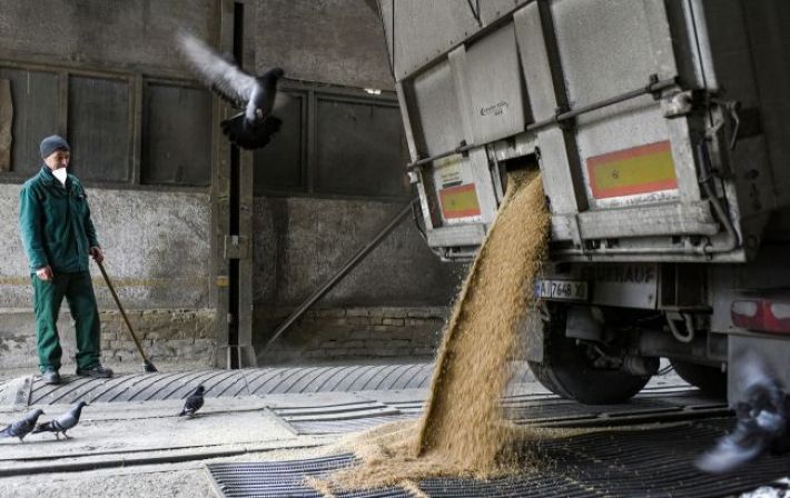 Страны ЕС могут наложить санкции на Польшу, если она продлит запрет на зерно из Украины, - СМИ