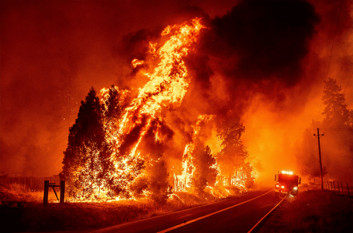 За минувшие сутки в Запорожской области спасатели ликвидировали 6 пожаров в экосистемах