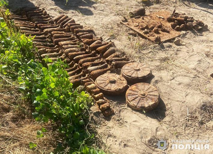 В Житомире женщина копала картошку, а нашла почти сотню мин (фото)