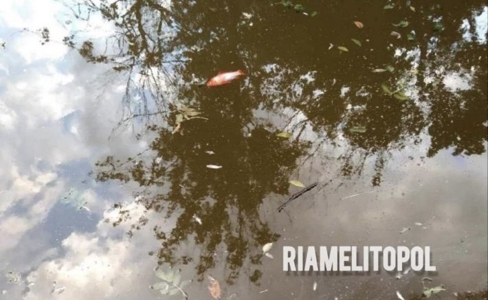 Вонь и плавающие трупы: во что рашисты превратили пруд в мелитопольском парке (фото)