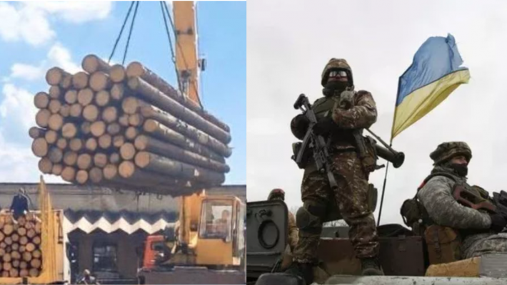 Пока оккупанты свозят в Мелитополь "лес из Твери" для оборонительных строений, Силы Обороны продвигаются вперед (видео 18+)