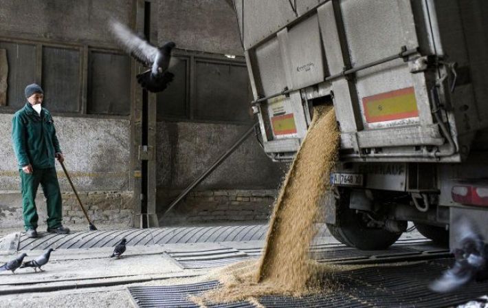 Египет планирует закупать зерно у Казахстана взамен российскому, - Reuters