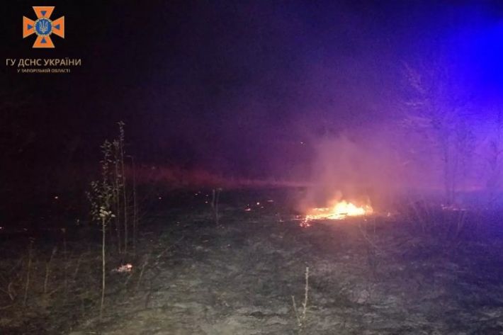За сутки в Запорожской области 13 раз горела экосистема (фото)