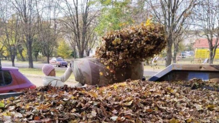 На прибирання листя в Дніпровському районі Запоріжжя за два місяці витратять мільйон гривень (фото)