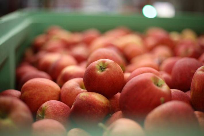 В Мелитополе продают яблоки на граммы - вы будете в шоке от цен (фото)
