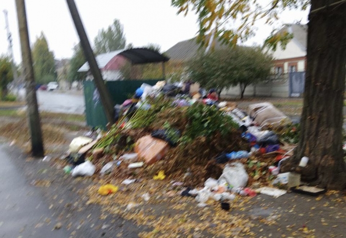 В Мелитополе соседи пишут доносы в комендатуру на тех, кто самостоятельно утилизирует мусор (фото, видео)