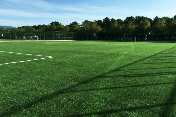 Разновидности покрытий для футбольных полей: натуральный газон или искусственное покрытие