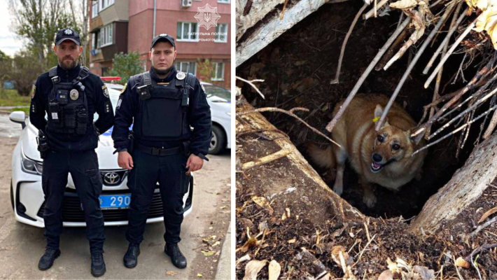 Каждая жизнь важна: патрульные спасли собаку из бетонной ловушки (фото)