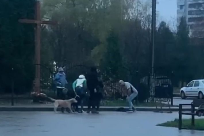 Поссорились во время выгула собак: во Львове пенсионер порезал мужчину