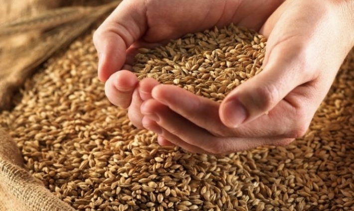 Оккупанты вывозят украинскую пшеницу из Бердянска, - Генштаб ВСУ