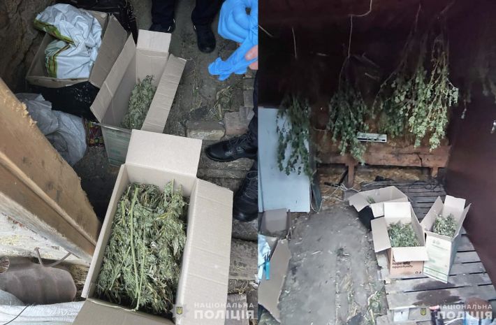 В Запорожском районе у "ботаника" изъяли почти три килограмма каннабиса (фото)