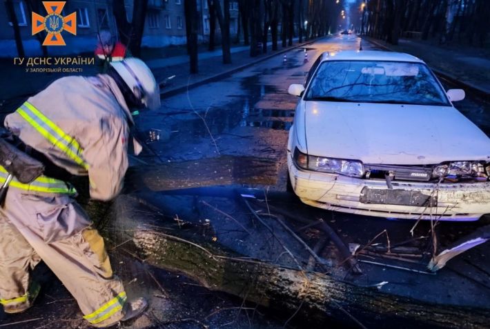В Запорожье спасатели убрали "аварийное" дерево (фото)