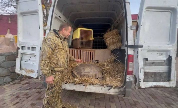 Крымские коллаборанты украли из Мелитополя львицу и еще несколько редких животных (фото)