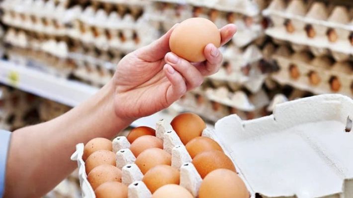 Оккупанты объяснили дефицит яиц в Мелитополе - любая методичка отдыхает