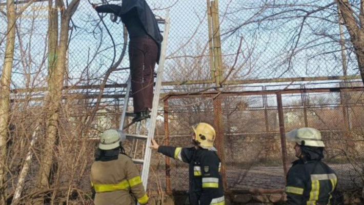У Запоріжжі рятувальникам довелося знімати з паркана чоловіка