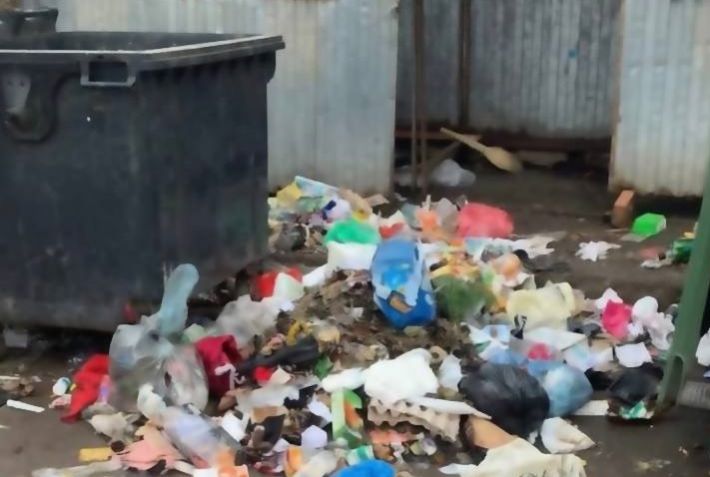 Дети не могут гулять на площадке из-за страшной вони  -  Мелитополь завален мусором (фото)