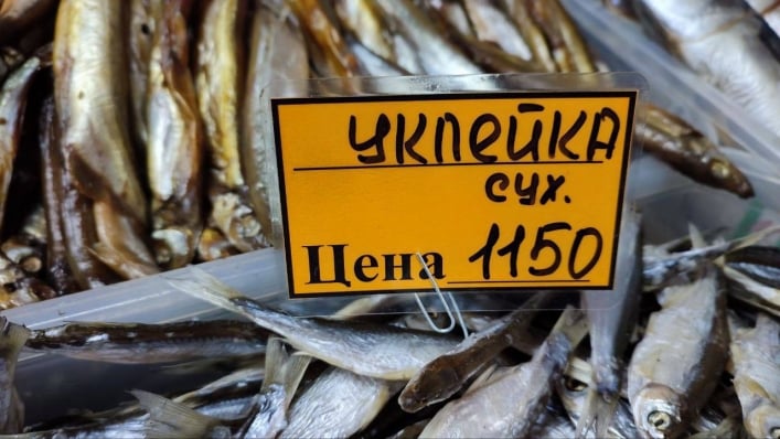 «Приезжают москвичи и говорят: цены у вас потолочные» – пропагандист пожаловался на цены в Мелитополе 