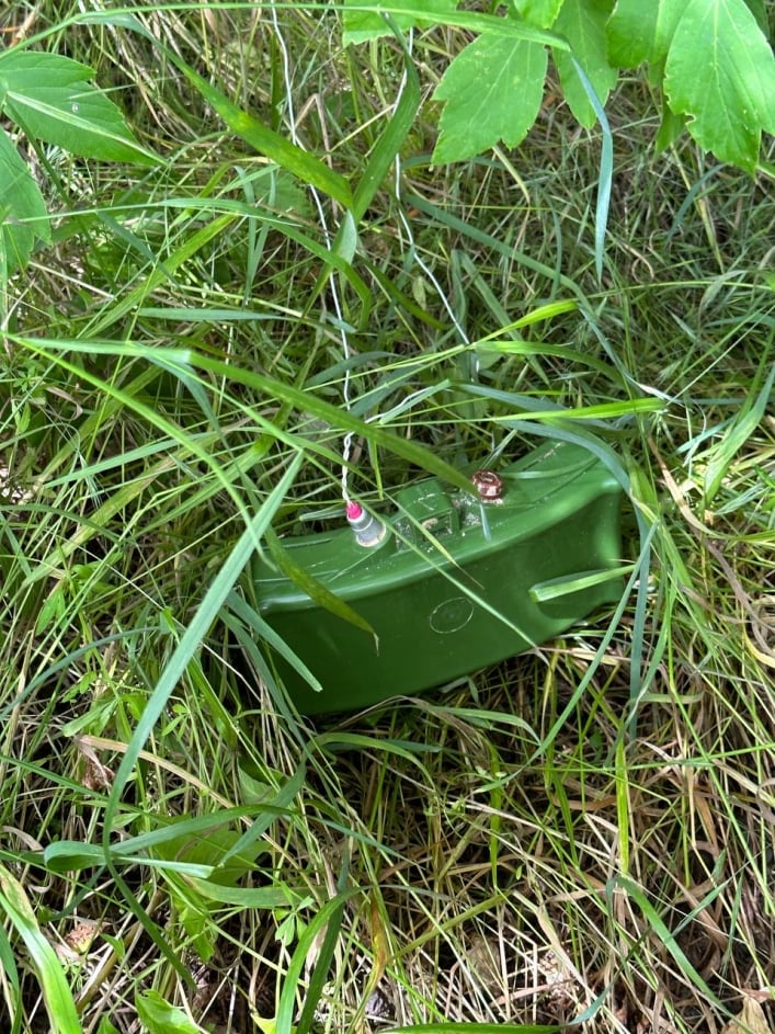В Мелитопольском районе оккупанты обнаружили мины, привязанные к траве (фото)