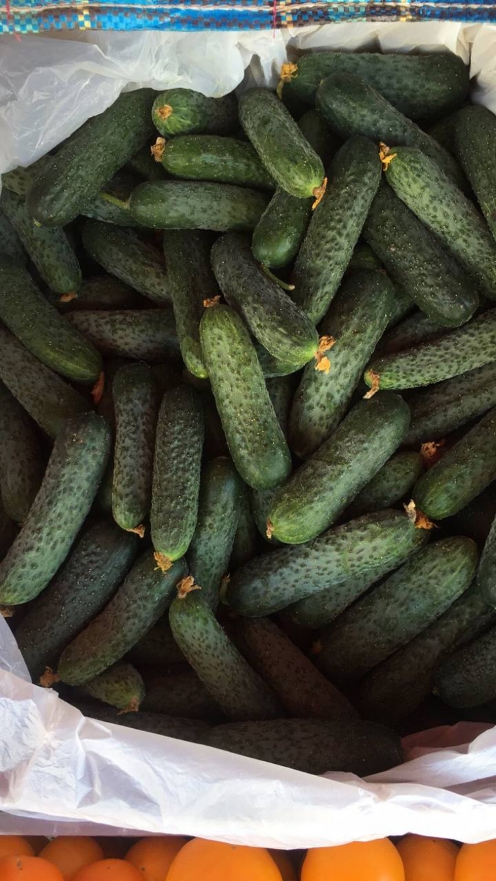 Оккупированная Кирилловка шокирует ценой на продукты: почем кукуруза? (фото)