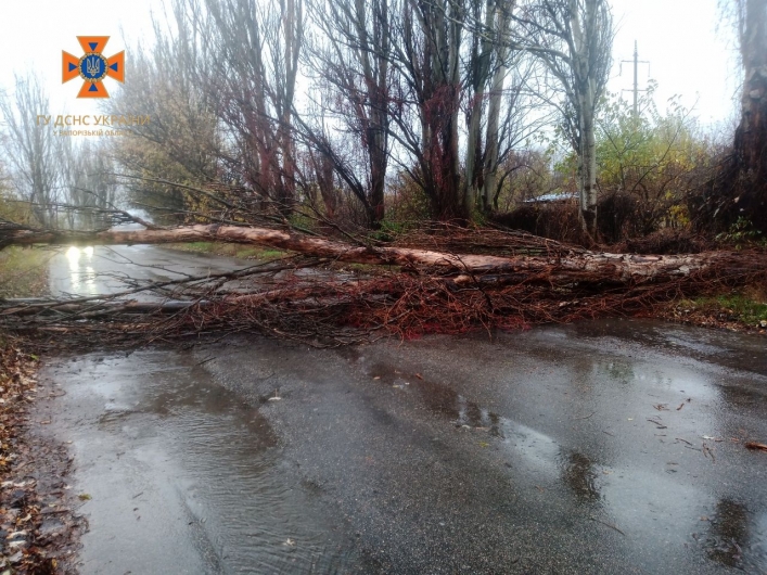 Спасатели ГСЧС во взаимодействии с коммунальными службами убрали семь деревьев