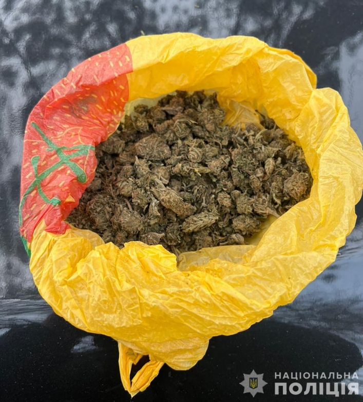 43-річного мешканця Вільнянська 6 грудня затримали під час спроби продажу наркотиків, зокрема, канабісу, на 20 тисяч гривень.