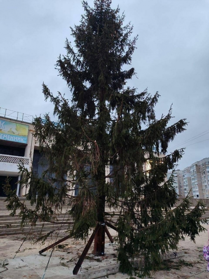 Теперь она, убогая, на праздник к нам пришла: стало понятно, почему оккупанты  в Мелитополе  не меняют украинские елки (фото)