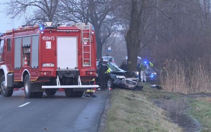 Авто врезалось в дерево: в Польше в ДТП погибли трое мужчин из Украины (фото)