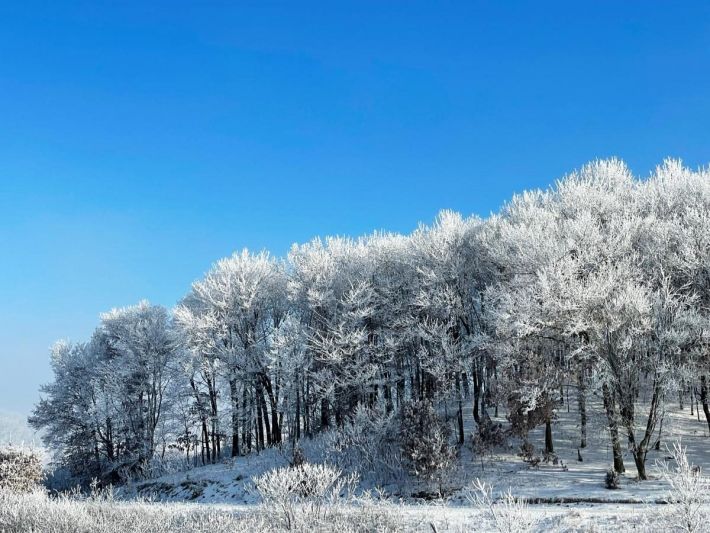 Похолодание в Украине: синоптик сообщила, когда ударит мороз