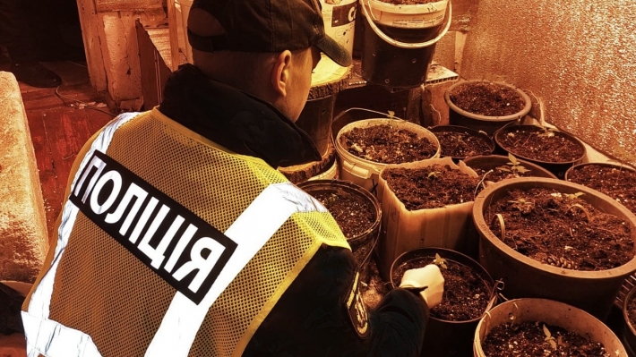 Полицейские изъяли у жителя Запорожского района более килограмма высушенного каннабиса