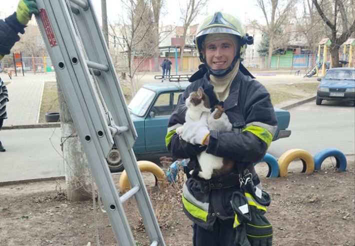 Запорожские чрезвычайники спасли кота (фото)