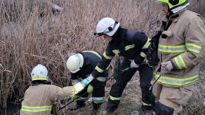 В Запоріжжі рятувальники витягли з річки на берег тіло чоловіка