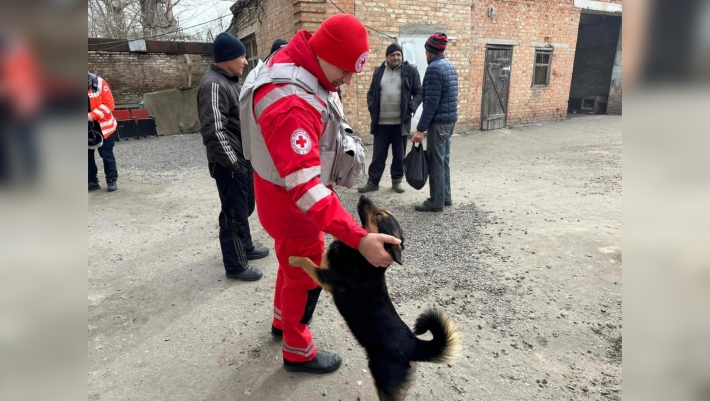 В прифронтовому Оріхову волонтери встановили годівниці для тваринок (фото)