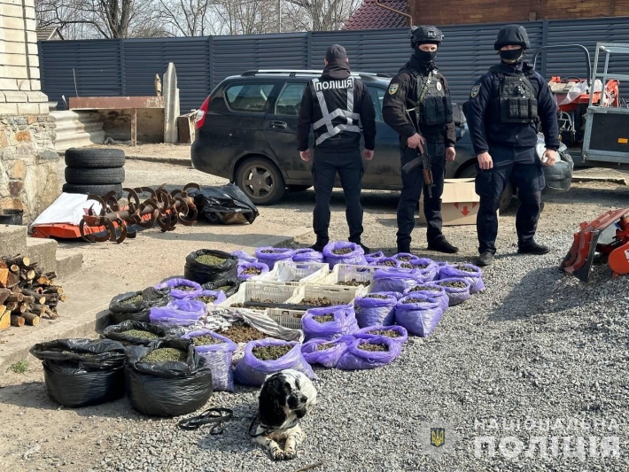 Выращивал урожай в промышленных масштабах: запорожские полицейские задержали наркоагрария (фото)
