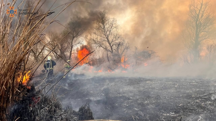 В Запорожской области в плавневой зоне реки Днепр спасатели ликвидировали пожар (фото)