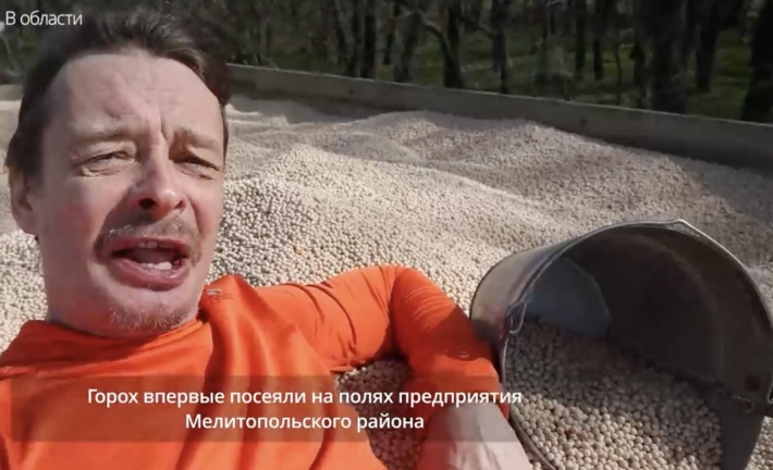 Чудо гороховое – рашистский пропагандист в Мелитополе показал, как привыкает к земле (видео)