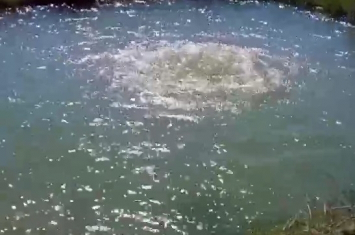 Мелітопольщину накрила паніка, а через порив сотні кубометрів води йдуть у річку (фото, відео)