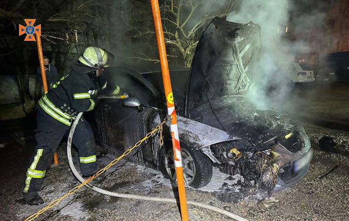 У Запоріжжі згоріла автівка, а інша перекинулася в області - ДСНС (фото)