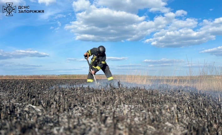 В Запорожской области, в плавневой зоне Днепра, снова произошел пожар (фото)