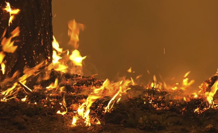 В Запоріжжі прогнозують надзвичайну пожежну небезпеку