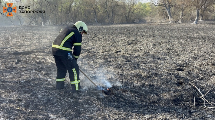 В Запорожской области плавневой зоне реки Днепр продолжается тушение пожара (фото)